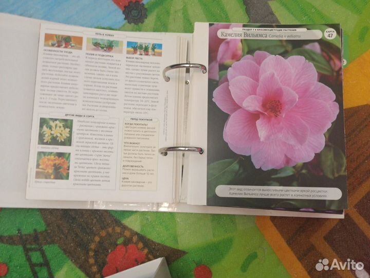 Книги о цветах