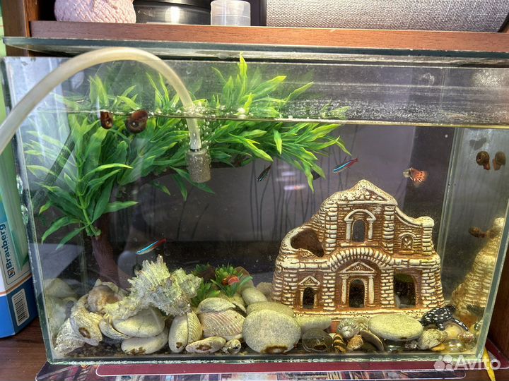 Аквариум с рыбками