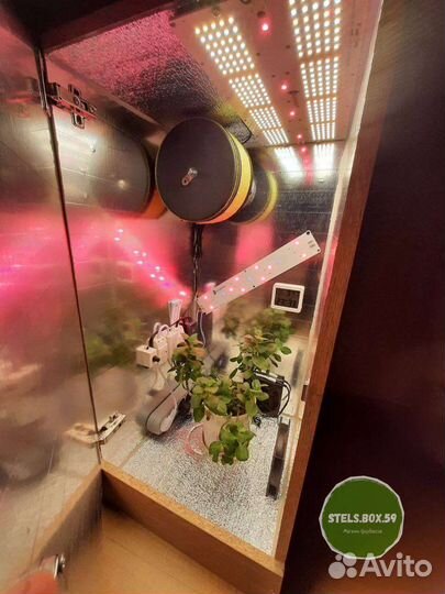 GrowBox, гроубокс, стелс бокс, гроубокс под ключ