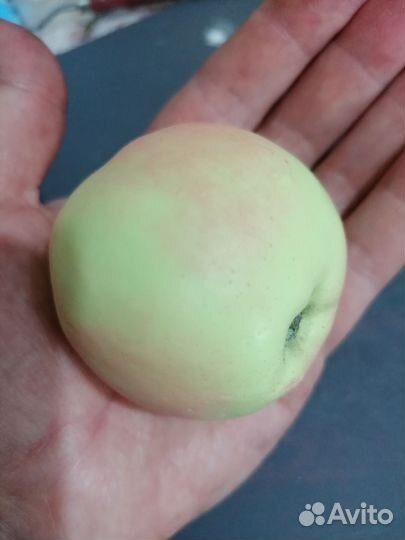 Яблоки. Мыло ручной работы