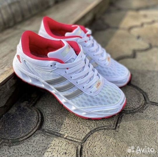 Кроссовки adidas climacool