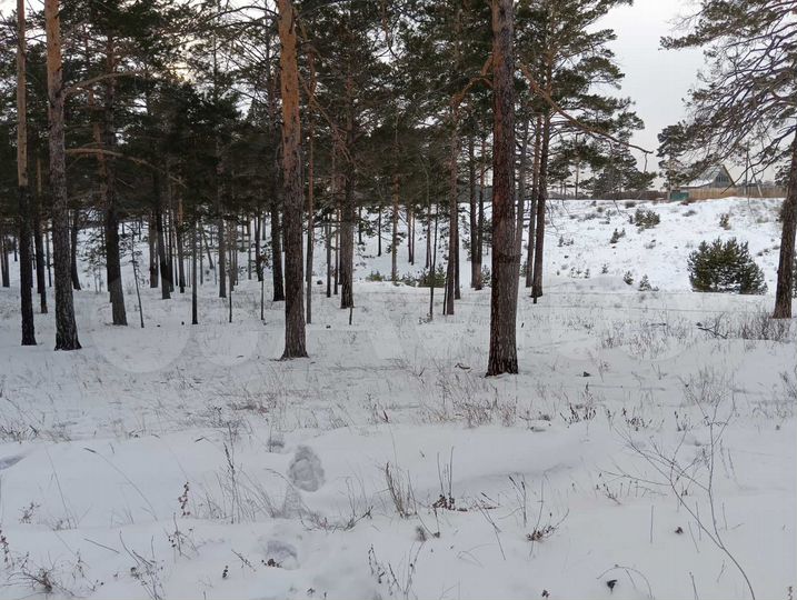 Участок 3,2 га (ИЖС)