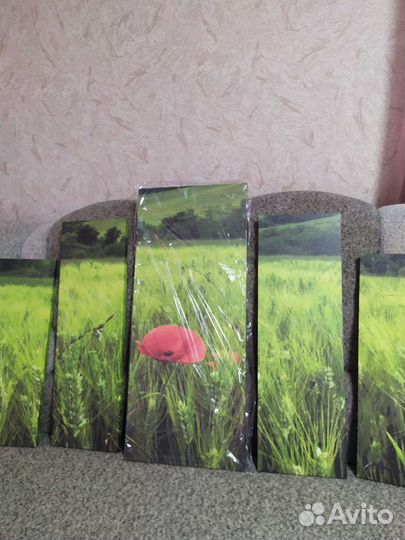 Картина модульная новая