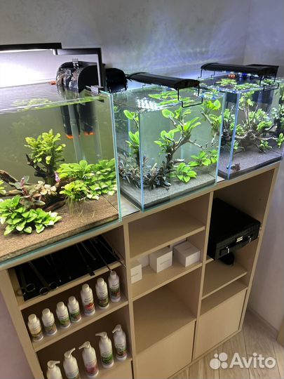 Дизайн и оформление аквариума