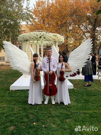 Струнное трио 