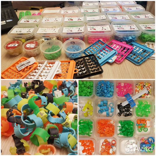 Инкубатор для яиц, овоскоп, меточные кольца