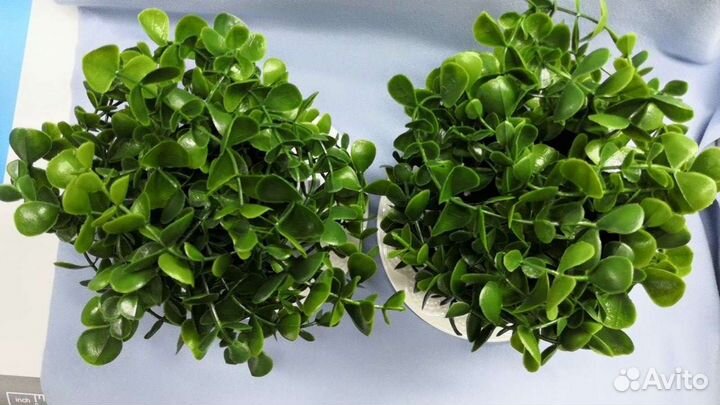 Авторский горшок для растения