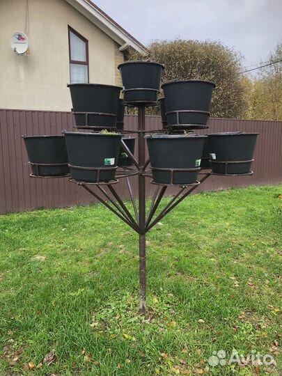 Петуниевое дерево