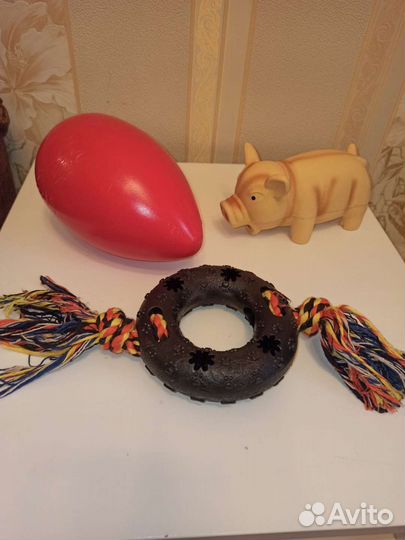 Вещи для собак