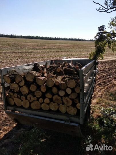 Дрова с доставкой пиленные, колотые от 3 до 10 ти