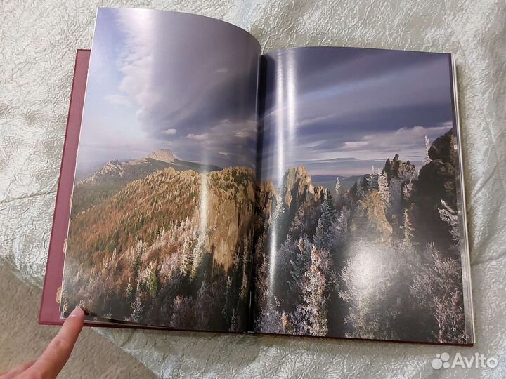 Много разных книг, манга