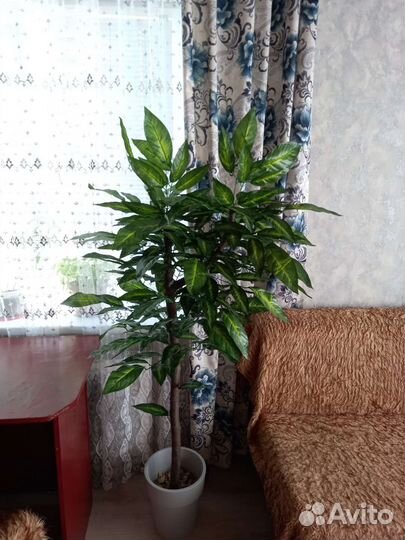 Декоративное дерево