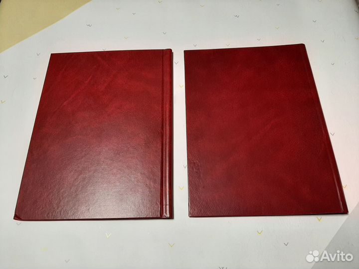 Папка для дипломной работы / дипломного проекта