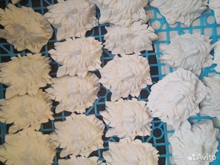 Возрождение лицо