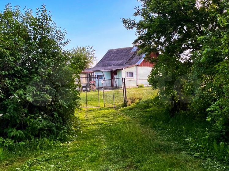 Дома, дачи, коттеджи 🏡 в Острове: купить, продать или снять | Загородная  недвижимость в Острове | Авито