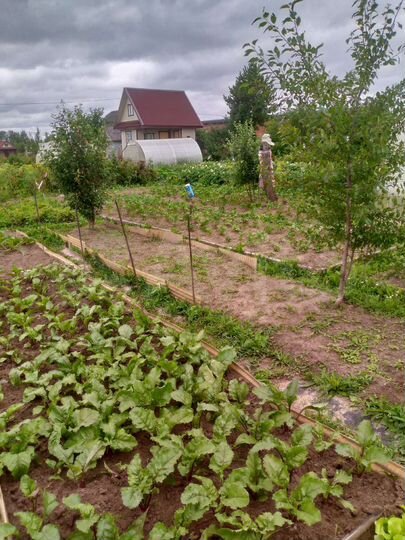 Дача 10 м² на участке 4 сот.