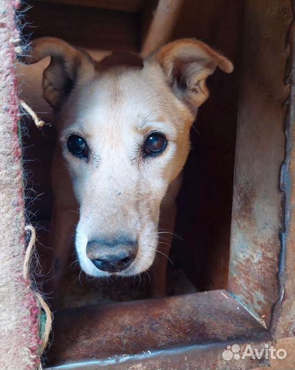 Жизнь почти закончена