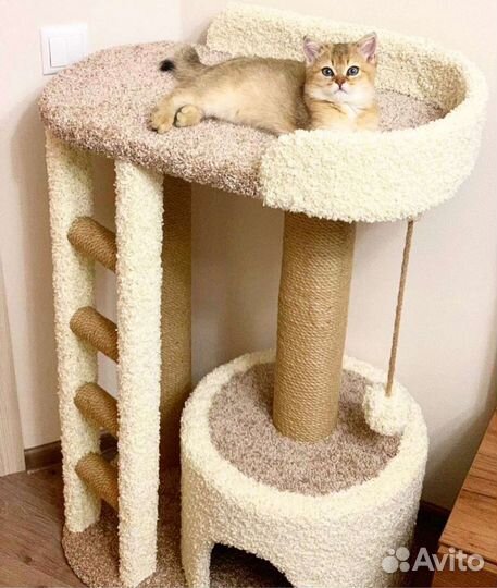 Домик для кошки с когтеточкой,новое, наличие
