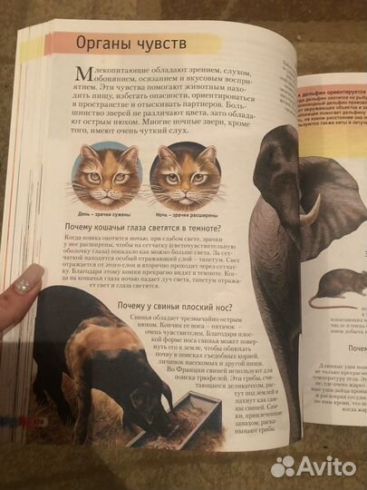 Большая книга знаний энциклопедия