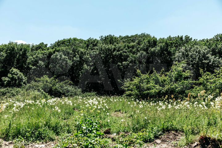 Участок 6,2 сот. (ИЖС)