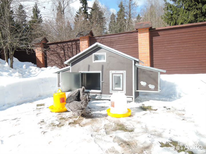 Домик для кур. Курятник