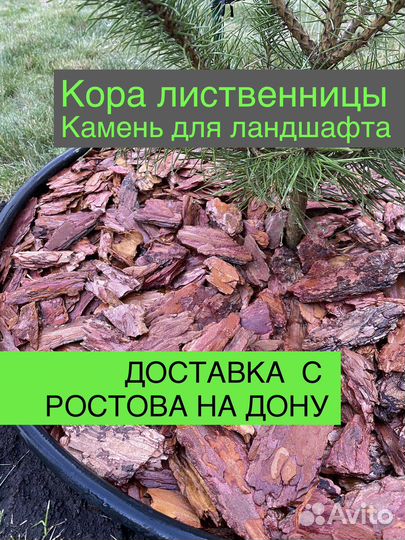 Мульча кора лиственницы