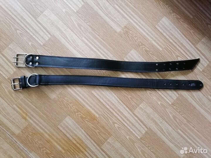 Ошейник для собак