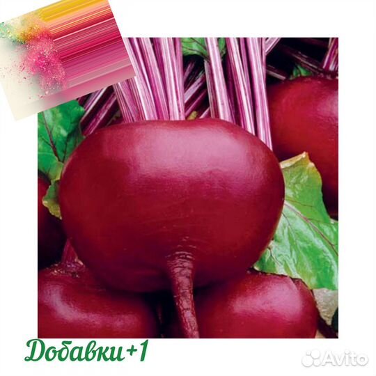 Свекла сушеная