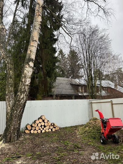 Срубить дерево