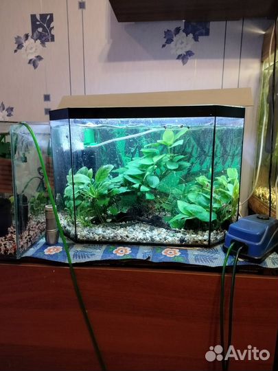Аквариум с подставкой