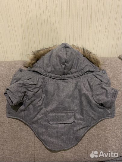 Куртка зимняя для собак мелких пород