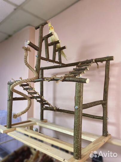 Стенд для мелких и средних попугаев