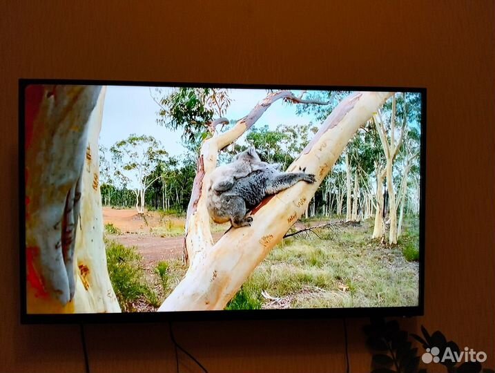 Телевизор bbk