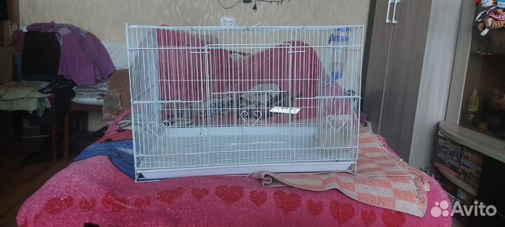 Клетка для грызунов, птиц и кроликов