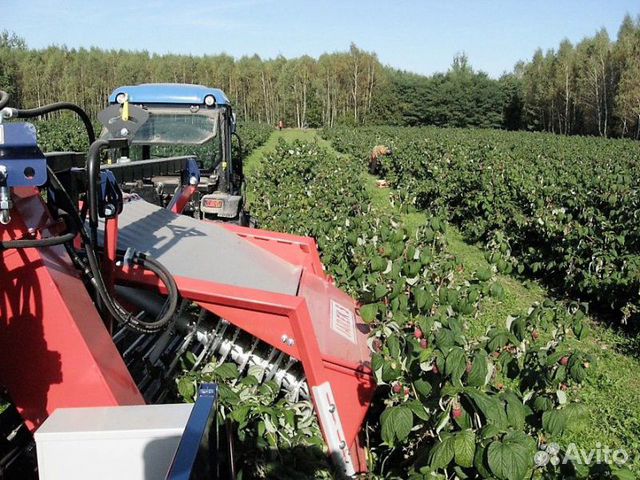 Опрыскиватель Jar-Met OP-128, 2022