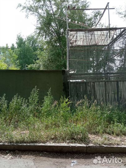 Голубятня продажа