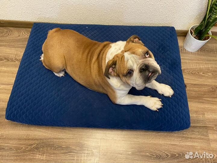 Матрас для собаки