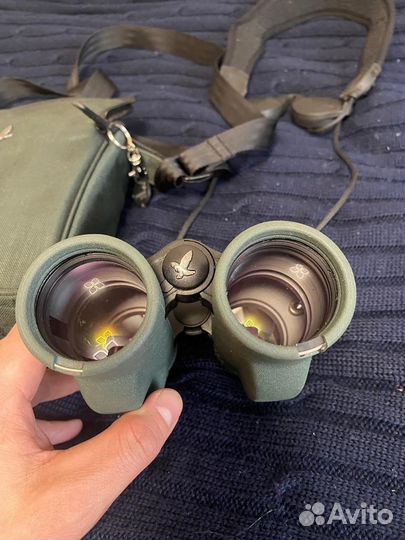 Бинокль swarovski с дальномером