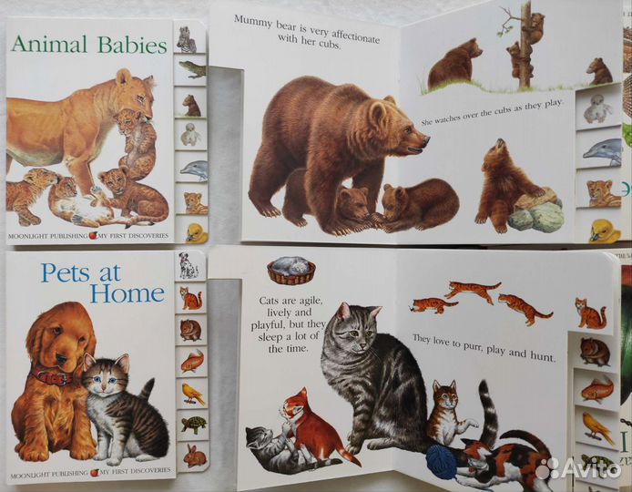 Детские английские книжки