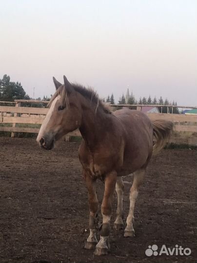 Советский тяжеловоз