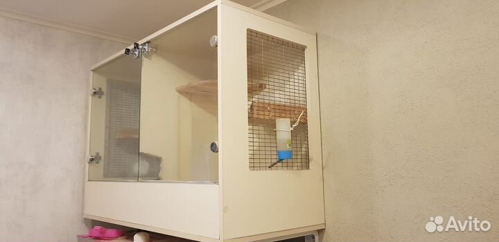 Витрина для шиншилл бу бесплатно