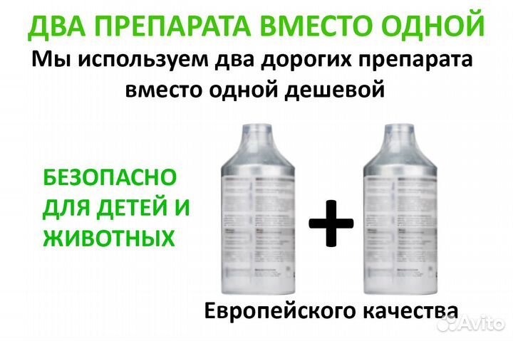 Дезинфекция