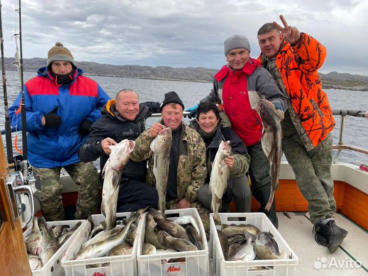 Рыбалка / Треска / Горбуша