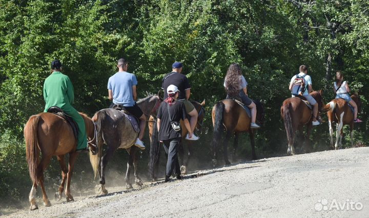 Конные прогулки над Гурзуфом