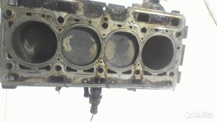 Блок цилиндров Renault Clio, 2008