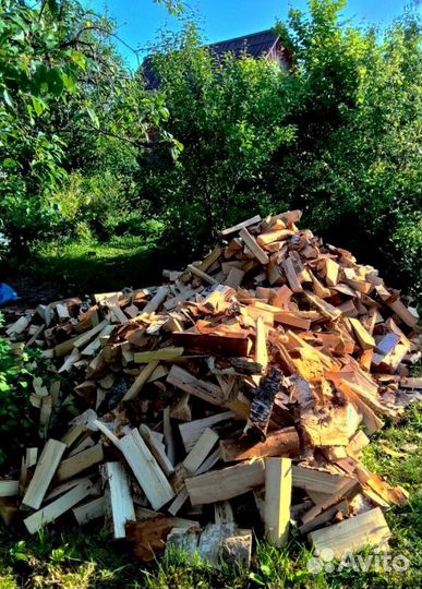 Дрова качественные от 1 куба любых пород древесины