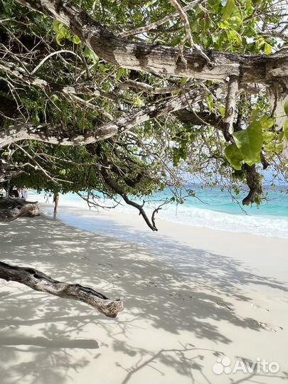 Путешествия