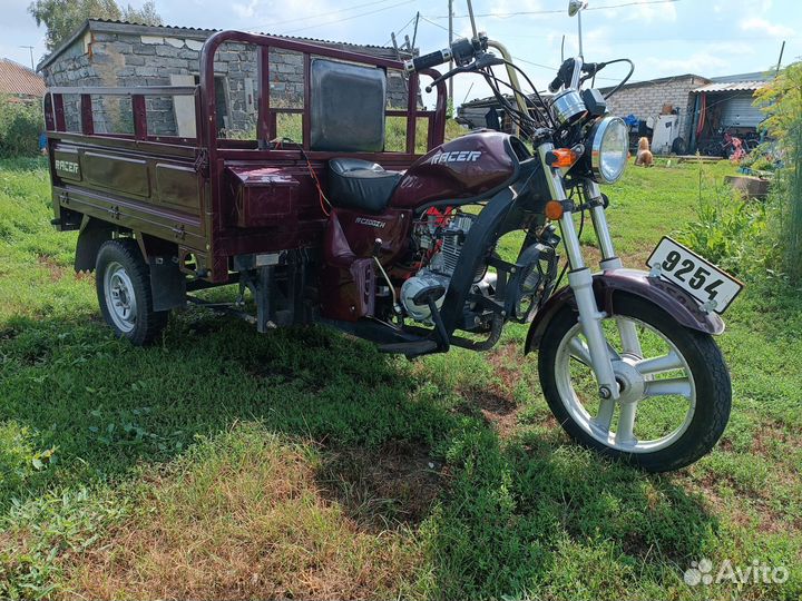 Продам муровей