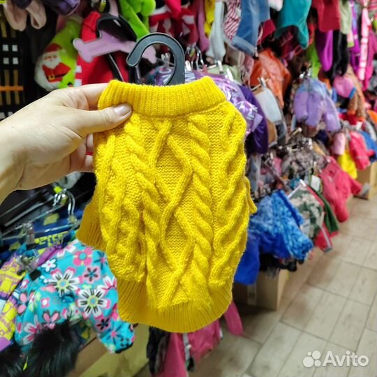 Одежда для собак