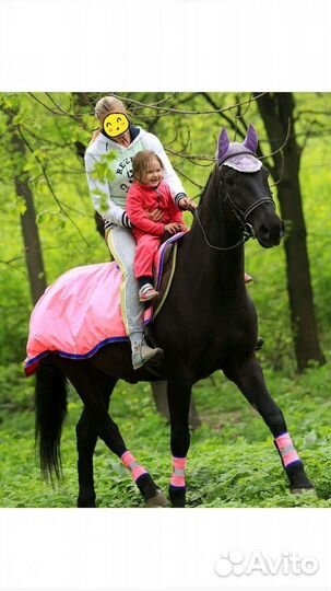 Попона дождевая